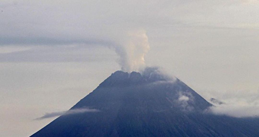 Merapi Siaga 3 Satwa liar turun Gunung