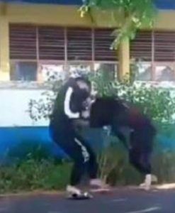 Video Viral Dua Remaja Putri Duel Hingga Masuk Selokan