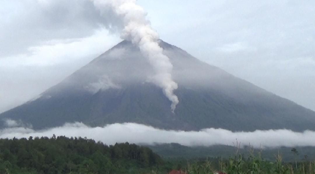 Gunung Semeru Semburkan Awan Panas