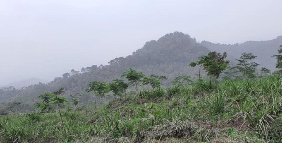 Lereng gunung semeru