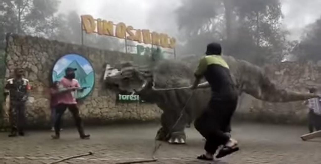 Terungkap Fakta Dibalik Viralnya Video Penurunan Dinosaurus Di Mojosemi Forest Park