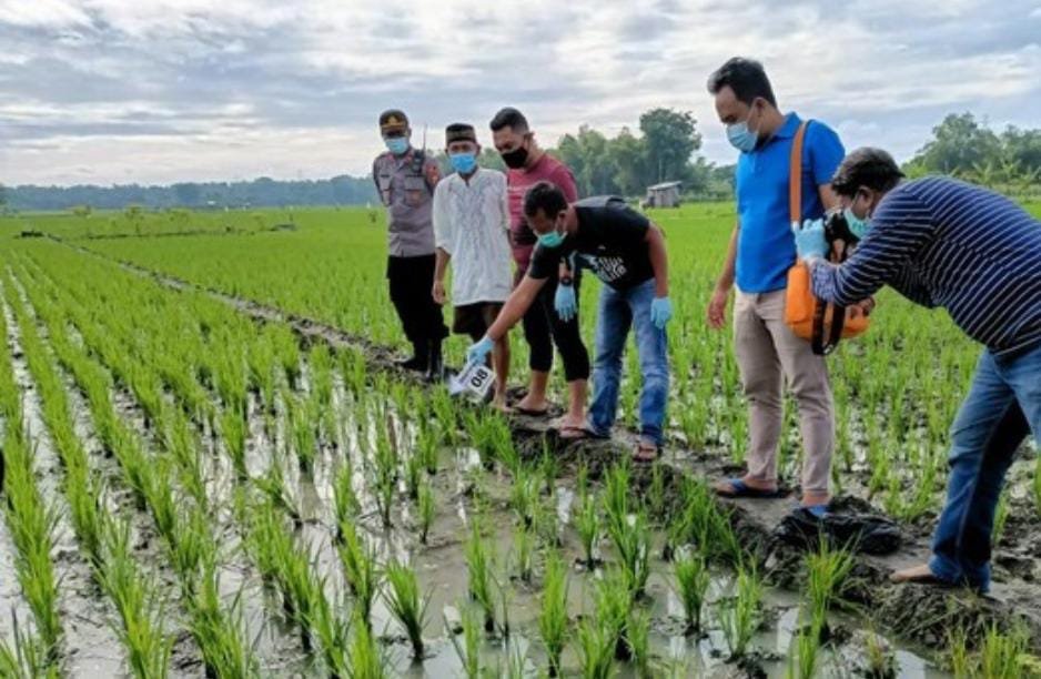 Jebakan Tikus Listrik di Ngawi Makan Korban Jiwa