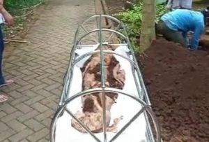 Terungkap Sebab Jasad Utuh Mbah Soewardi