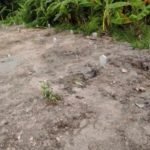 Pemicu Pemakaman Pasien COVID-19 Di Mojokerto Hampir Penuh