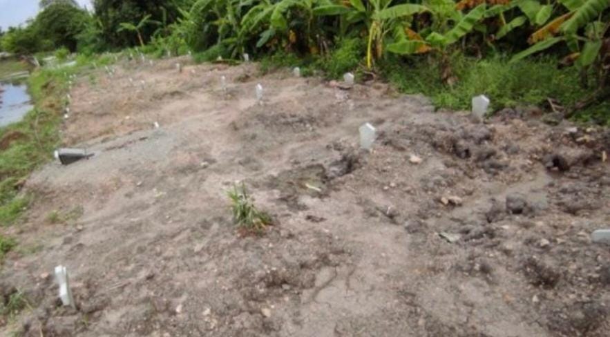 Pemicu Pemakaman Pasien COVID-19 Di Mojokerto Hampir Penuh