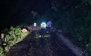 Tebing 25 Meter Di Perbukitan Rampalombo Blitar Longsor