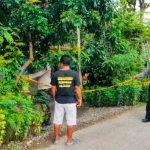 Viral Pria di Ngawi Ditemukan Tewas Tersangkut di Pohon