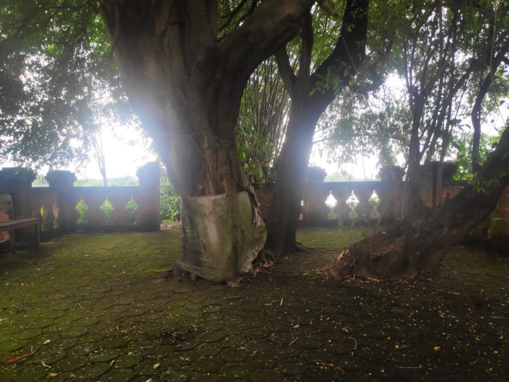 Kisah Misteri Punden KedungSuro, Lelembut Bayar Tunai Ludruk Untuk Sedekah Desa Kedungsari Mojokerto