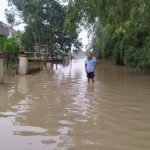 Kali Lamong Meluap Lima Desa Terendam Banjir