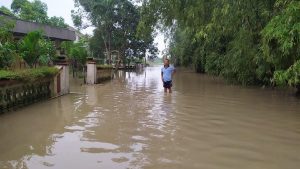 Kali Lamong Meluap Lima Desa Terendam Banjir