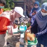 Unik, Posyandu Untuk Kucing Digelar Disnakeswan