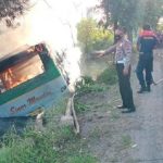 Bus Sinar Mandiri Masuk Parit Hingga Terbakar Di Lamongan