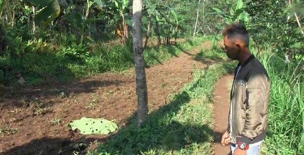 Guru Ngaji Dibacok Hingga Tewas Di Lumajang