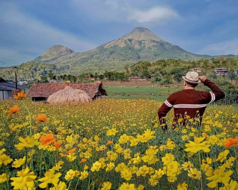 Kampung Organik Brenjonk Destinasi Wisata Patut Dikunjungi