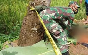 Penemuan Kerangka Manusia Di Sawah Nganjuk Hebohkan Warga