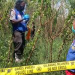 Penemuan Mayat Di Kebun Singkong Tumapel Mojokerto Hebohkan Warga