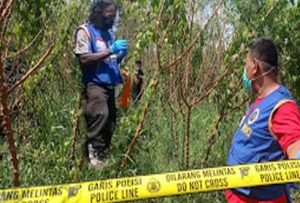 Penemuan Mayat Di Kebun Singkong Tumapel Mojokerto Hebohkan Warga