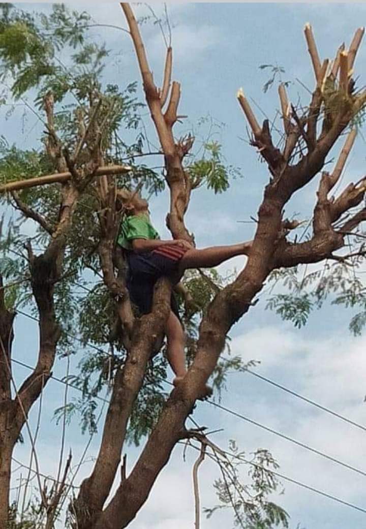 Kakek Tersengat Listrik Tewas Saat Cari Pakan Ternak