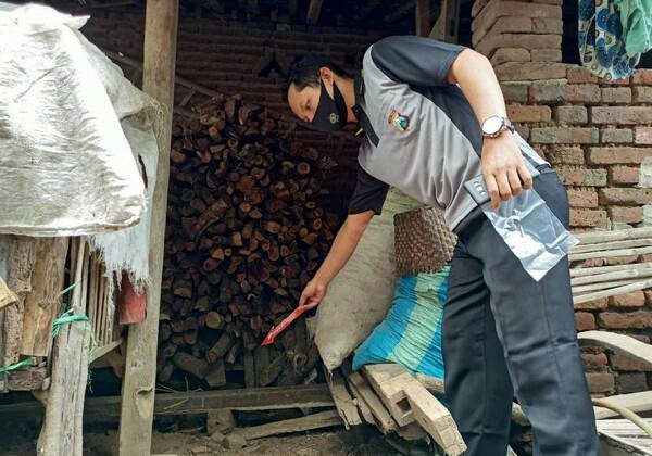 Kasus Penemuan Mayat Bayi Ditumpukan Kayu Akhirnya Terungkap