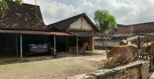 Kampung Miliarder Tuban di Isukan Tinggal Kenangan