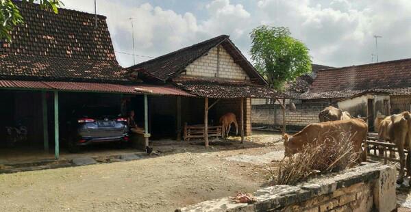 Kampung Miliarder Tuban di Isukan Tinggal Kenangan, Ini Kata Kepala Desa