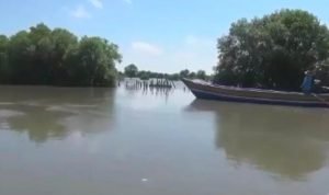 Dampak Banjir Rob Petani Ikan Bandeng Rugi Ratusan Juta