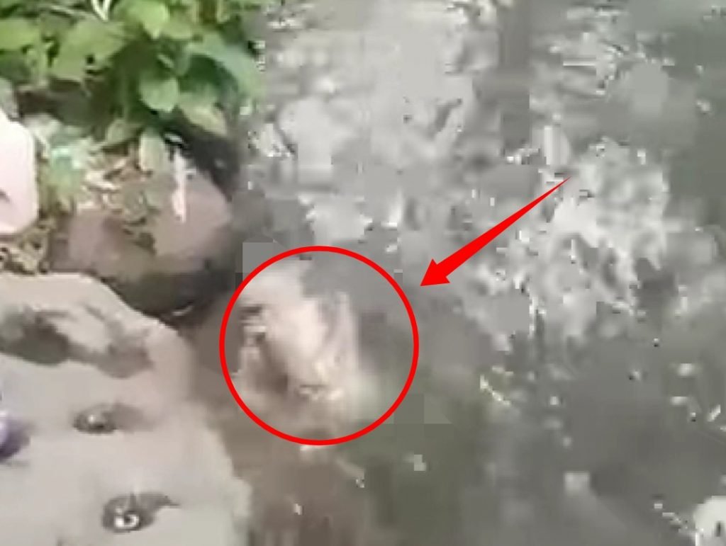 Mayat Bayi Ditemukan Mengambang di Sungai, Viral di Facebook
