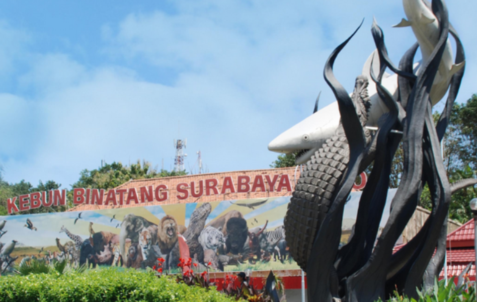 HUT Surabaya ke 728 Kebun Binatang Surabaya Bagi Bagi Diskon
