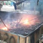 Dianggap Meresahkan, Kalangan Sabung Ayam di Trowulan Dibakar Petugas