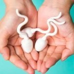 Cara Identifikasi Kesehatan Sperma Dari Baunya