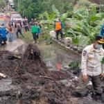 Tebing Setinggi 15 Meter di Trenggalek Longsor Setelah Diguyur Hujan