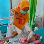 Penemuan Bayi Dibuang Di Gubuk Tepi Sawah Hebohkan Warga