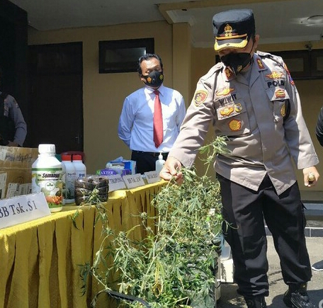 Pengedar Ganja Senilai Ratusan Juta Lintas Provinsi Akhirnya Dibekuk Polisi