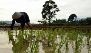 LP2B Makin Terancam, PMII Minta Dewan Ambil Kebijakan 