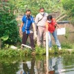 Tragis, Bocah 2 Tahun Tewas Tenggelam di Kolam Ikan Patin