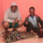 Sarung Sakti Penangkap Buaya Di Kali Sadar Mojokerto 