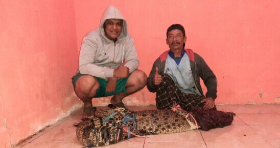 Sarung Sakti Penangkap Buaya Di Kali Sadar Mojokerto