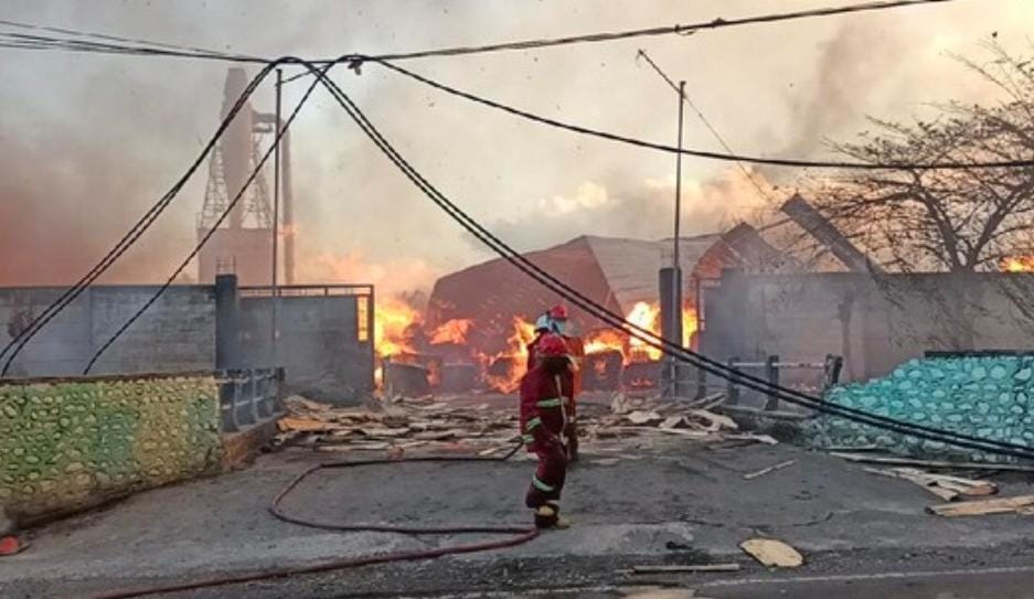 PT Graha Papan Lestari Pabrik Pengolah Kayu Ludes Terbakar