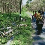 Lewat Di Hutan Pulung, Gadis Cantik Tertimpa Pohon Sengon Laut Hingga Tewas