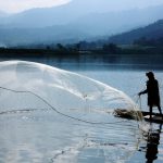 Video Ikan Di Waduk Selorejo Mati Masal Jadi Tanda Tanya