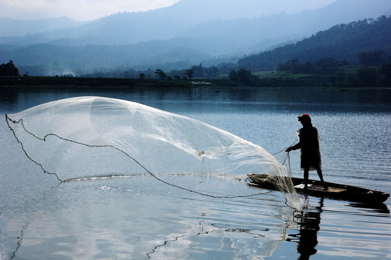 Video Ikan Di Waduk Selorejo Mati Masal Jadi Tanda Tanya