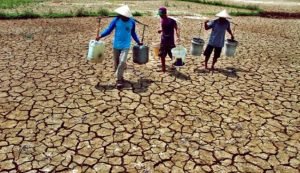 BMKG Himbau Masyarakat di Wilayah Jatim Waspada Dengan Kekeringan