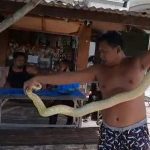 Ular Piton Muncul Didepan Makam Kembangringgit, Warga Bertanya Ada Apa