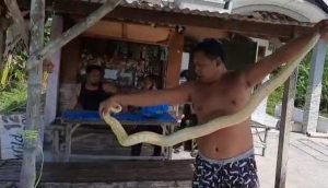 Ular Piton Muncul Didepan Makam Kembangringgit, Warga Bertanya Ada Apa