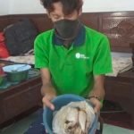 Daging Ayam Busuk Dijadikan BPNT Di Jombang Bikin Warga Geram