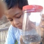 Ular Sanca Kembang Ditemukan di Dapur Rumah Warga Probolinggo Bikin Heboh