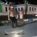 Ugal Ugalan Tiga Pemuda Di Jombang Tabrak Pohon Satu Orang Tewas