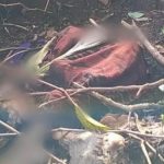 Penemuan Kerangka Manusia di Hutan Lindung Banyuwangi Bikin Geger