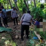 Kakek Di Blitar Tewas Terjatuh Dari Pohon Kelapa Setinggi 15 Meter Saat Petik Pohon Kelapa