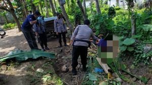 Kakek Di Blitar Tewas Terjatuh Dari Pohon Kelapa Setinggi 15 Meter Saat Petik Pohon Kelapa
